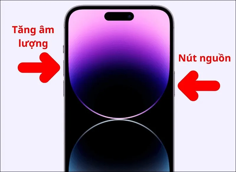 Đối với iPhone có Face ID (iPhone X trở lên, không có nút Home)
